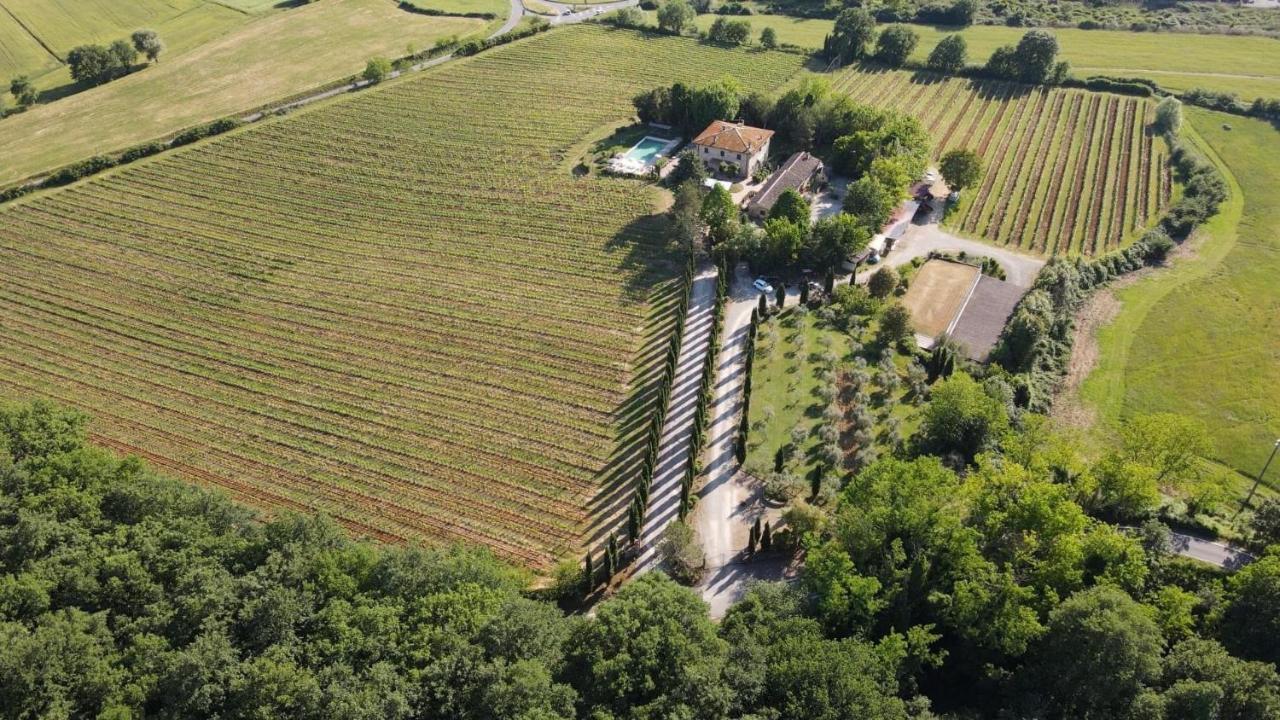 Il Colombaio Winery & Rooms Монтериджони Екстериор снимка